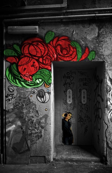 Roses